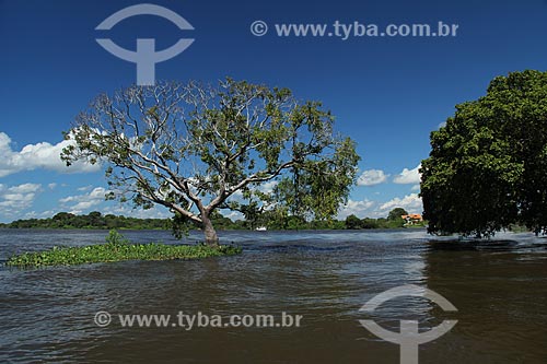  Subject: Banks of the Amazon River near to Parintins / Place: Parintins city - Amazonas state (AM) - Brazil / Date: 06/2013 