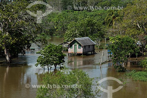  Subject: Houses on the banks of Amazon River near to Parintins city / Place: Parintins city - Amazonas state (AM) - Brazil / Date: 07/2013 