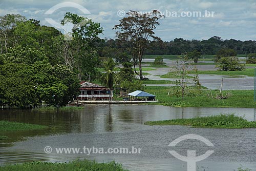  Subject: Houses on the banks of Amazon River near to Parintins city / Place: Parintins city - Amazonas state (AM) - Brazil / Date: 07/2013 