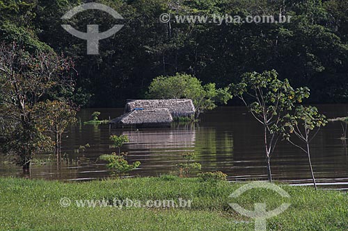  Subject: House on the banks of Amazon River near to Itacoatiara city / Place: Itacoatiara city - Amazonas state (AM) - Brazil / Date: 07/2013 