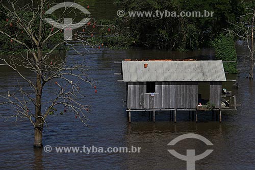  Subject: House on the banks of Amazon River near to Itacoatiara city / Place: Itacoatiara city - Amazonas state (AM) - Brazil / Date: 07/2013 