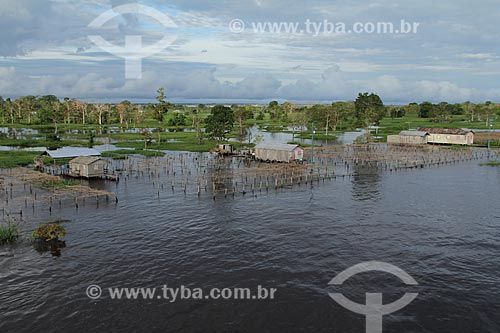  Subject: Riparian community on the banks of Amazon River near to Itacoatiara city / Place: Itacoatiara city - Amazonas state (AM) - Brazil / Date: 07/2013 