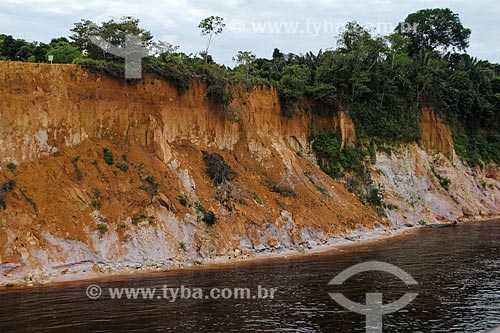  Subject: Banks of the Amazon River near to Tabocal Coast / Place: Manaus city - Amazonas state (AM) - Brazil / Date: 07/2013 