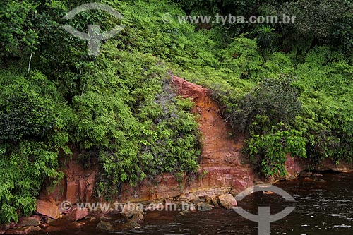  Subject: Banks of the Amazon River near to Tabocal Coast / Place: Manaus city - Amazonas state (AM) - Brazil / Date: 07/2013 