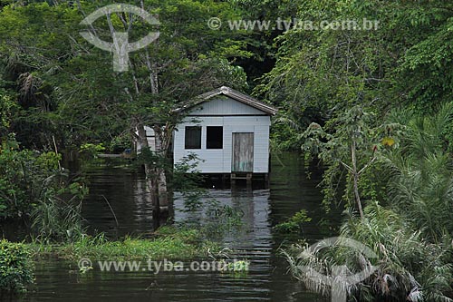  Subject: House on the banks of Amazon River near to Tabocal Coast / Place: Manaus city - Amazonas state (AM) - Brazil / Date: 07/2013 