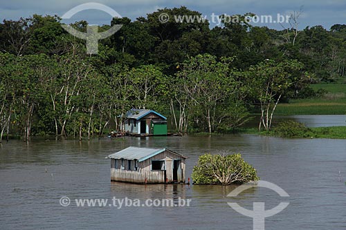  Subject: Houses on the banks of Amazon River near to Tabocal Coast / Place: Manaus city - Amazonas state (AM) - Brazil / Date: 07/2013 