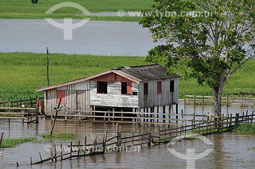  Subject: House on the banks of Amazon River near to Tabocal Coast / Place: Manaus city - Amazonas state (AM) - Brazil / Date: 07/2013 