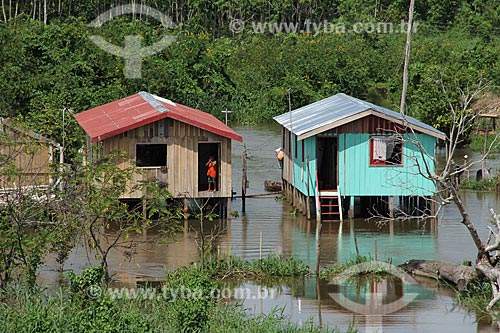  Subject: Houses on the banks of Amazon River near to Tabocal Coast / Place: Manaus city - Amazonas state (AM) - Brazil / Date: 07/2013 