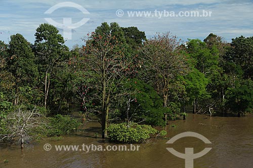  Subject: Banks of the Amazon River near to Itacoatiara city / Place: Itacoatiara city - Amazonas state (AM) - Brazil / Date: 07/2013 