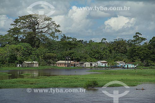  Subject: Riparian community on the banks of Amazon River near to Itacoatiara / Place: Itacoatiara city - Amazonas state (AM) - Brazil / Date: 07/2013 