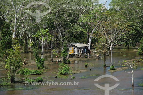  Subject: House on the banks of Amazon River near to Itacoatiara / Place: Itacoatiara city - Amazonas state (AM) - Brazil / Date: 07/2013 