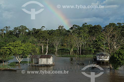  Subject: Houses on the banks of Amazon River near to Itacoatiara / Place: Itacoatiara city - Amazonas state (AM) - Brazil / Date: 07/2013 