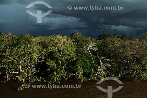  Subject: Bank of the Amazon River near to Itacoatiara city with rain clouds in the sky / Place: Itacoatiara city - Amazonas state (AM) - Brazil / Date: 07/2013 