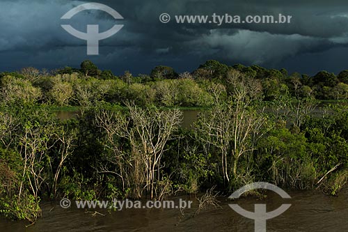  Subject: Bank of the Amazon River near to Itacoatiara city with rain clouds in the sky / Place: Itacoatiara city - Amazonas state (AM) - Brazil / Date: 07/2013 