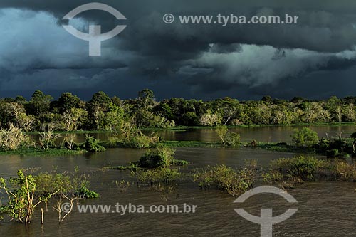  Subject: Bank of the Amazon River near to Itacoatiara city with rain clouds in the sky / Place: Itacoatiara city - Amazonas state (AM) - Brazil / Date: 07/2013 