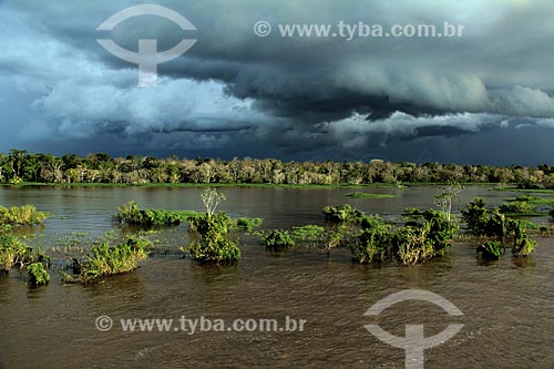  Subject: Bank of the Amazon River near to Itacoatiara city with rain clouds in the sky / Place: Itacoatiara city - Amazonas state (AM) - Brazil / Date: 07/2013 