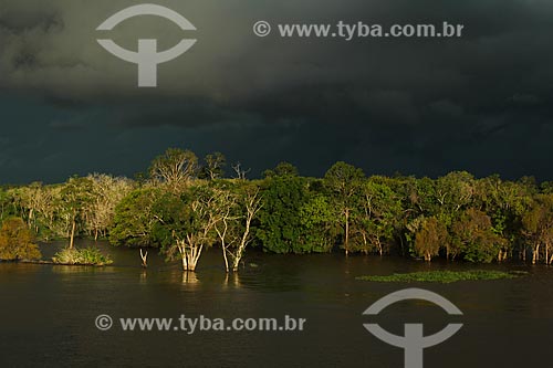  Subject: Bank of the Amazon River near to Itacoatiara city with rain clouds in the sky / Place: Itacoatiara city - Amazonas state (AM) - Brazil / Date: 07/2013 