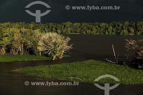  Subject: Bank of the Amazon River near to Itacoatiara city with rain clouds in the sky / Place: Itacoatiara city - Amazonas state (AM) - Brazil / Date: 07/2013 