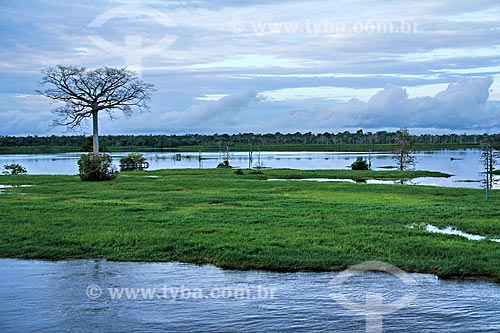  Subject: Banks of the Amazon River near to Tabocal Coast / Place: Manaus city - Amazonas state (AM) - Brazil / Date: 07/2013 