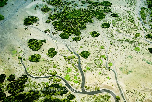  Subject: Mangroves surrounding the Guanabara Bay / Place: Rio de Janeiro city - Rio de Janeiro state (RJ) - Brazil / Date: 01/2009 