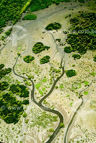  Subject: Mangroves surrounding the Guanabara Bay / Place: Rio de Janeiro city - Rio de Janeiro state (RJ) - Brazil / Date: 01/2009 