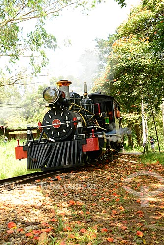  Subject: Steam train leaving the station the Estrada de Ferro Oeste de Minas inaugurated in 1881 used for sightseeing tour of Sao Joao del Rei to Tiradentes / Place: Tiradentes city - Minas Gerais state (MG) - Brazil / Date: 03/2013 