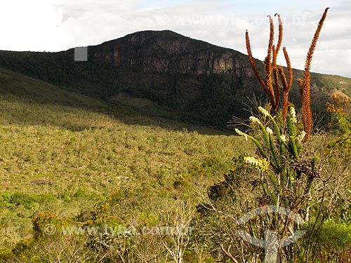  Subject: Mountain at Ibitipoca State Park / Place: Lima Duarte city - Minas Gerais state (MG) - Brazil / Date: 04/2009 