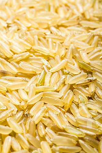  Subject: Brown rice raw grains / Place: Florianopolis city - Santa Catarina state (SC) - Brazil / Date: 07/2013 