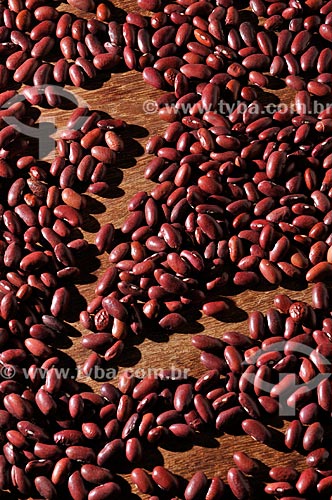  Subject: Kidney beans - also known as red bean - raw grains / Place: Sao Jose do Rio Preto city - Sao Paulo state (SP) - Brazil / Date: 07/2013 
