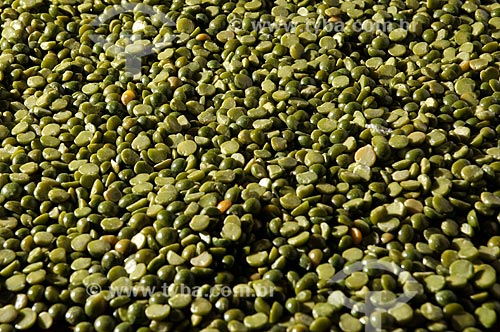  Subject: Split pea grains / Place: Sao Jose do Rio Preto city - Sao Paulo state (SP) - Brazil / Date: 07/2013 