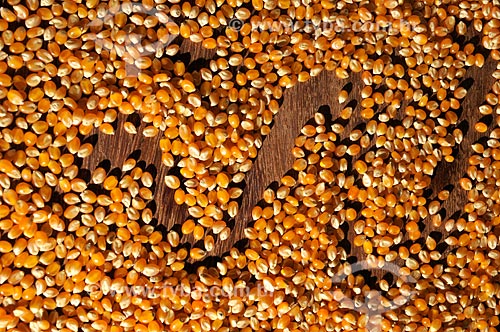  Subject: Corn raw grains / Place: Sao Jose do Rio Preto city - Sao Paulo state (SP) - Brazil / Date: 07/2013 