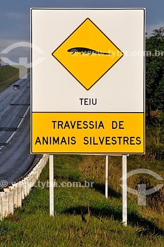  Subject: Plaque indicating crossing of Tupinambis (Tupinambis merianae) on Euclides da Cunha Highway (SP-320) / Place: Fernandopolis city - Sao Paulo state (SP) - Brazil / Date: 07/2013 