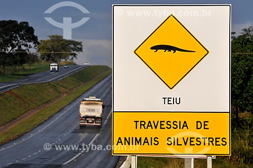  Subject: Plaque indicating crossing of Tupinambis (Tupinambis merianae) on Euclides da Cunha Highway (SP-320) / Place: Fernandopolis city - Sao Paulo state (SP) - Brazil / Date: 07/2013 