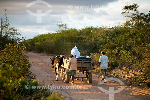  Subject: Couple of Ethnicity Kapinawa of the village or community Malhador transporting belongings in cart / Place: Buique city - Pernambuco state (PE) - Brazil / Date: 06/2013 