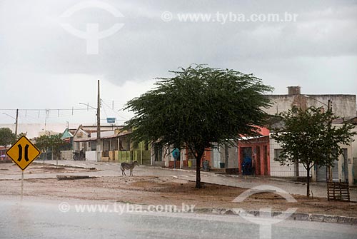  Subject: Houses in the village of Valdemar Siqueira / Place: Custodia city - Pernambuco state (PE) - Brazil / Date: 06/2013 