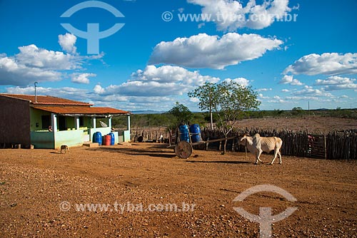  House of  Jose Francisco de Lima and ox car with tonel of water in village in the rural zone  - Custodia city - Brazil