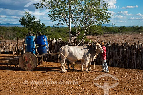  House of  Jose Francisco de Lima and ox car with tonel of water in village in the rural zone  - Custodia city - Brazil