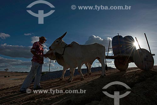  Jose Francisco de Lima and ox car with tonel of water in village in the rural zone  - Custodia city - Brazil