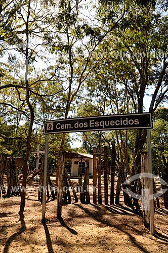  Subject: Forgotten cemetery - Cemetery located within a forest where they are buried bodies of Indian and white people that lived in the late 19th and early 20th century / Place: Sales city - Sao Paulo state (SP) - Brazil / Date: 08/2013 