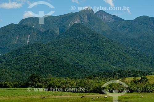  Subject: General view of Poco das Antas Biological Reserve between the cities of Silva Jardim and Casimiro de Abreu / Place: Silva Jardim city - Rio de Janeiro state (RJ) - Brazil / Date: 09/2004 