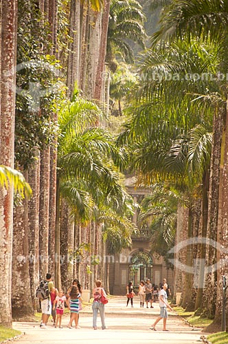  Subject: Royal palms of Botanical Garden / Place: Jardim Botanico neighborhood - Rio de Janeiro city - Rio de Janeiro state (RJ) - Brazil / Date: 08/2011 