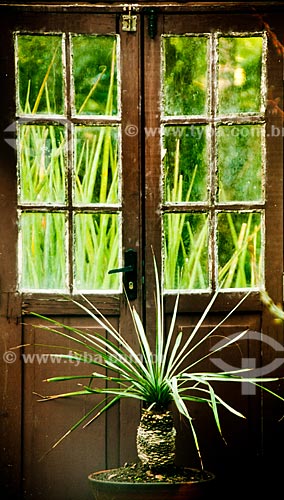  Subject: Potted plant at Botanical Garden of Rio de Janeiro / Place: Jardim Botanico neighborhood - Rio de Janeiro city - Rio de Janeiro state (RJ) - Brazil / Date: 07/2011 