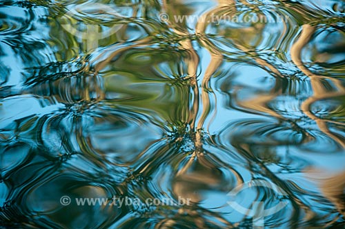  Subject: Water mirror at Botanical Garden of Rio de Janeiro / Place: Jardim Botanico neighborhood - Rio de Janeiro city - Rio de Janeiro state (RJ) - Brazil / Date: 07/2011 