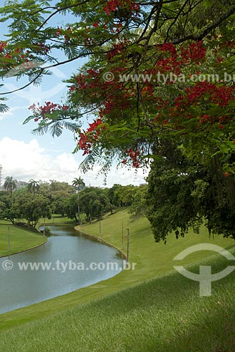  Subject: River at Quinta da Boa Vista park / Place: Sao Cristovao neighborhood - Rio de Janeiro city - Rio de Janeiro state (RJ) - Brazil / Date: 12/2009 