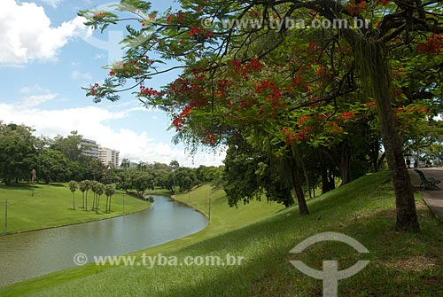  Subject: River at Quinta da Boa Vista park / Place: Sao Cristovao neighborhood - Rio de Janeiro city - Rio de Janeiro state (RJ) - Brazil / Date: 12/2009 