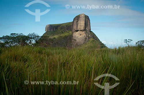  Subject: View of Rock of Gavea from Pedra Bonita (Bonita Stone) / Place: Rio de Janeiro city - Rio de Janeiro state (RJ) - Brazil / Date: 05/2013 