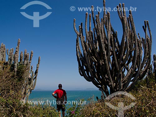  Subject: Man watching the sea near the cactus / Place: Armacao dos Buzios city - Rio de Janeiro state (RJ) - Brazil / Date: 08/2011 