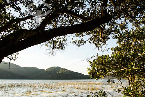  Subject: Peri Lagoon / Place: Florianopolis city - Santa Catarina state (SC) - Brazil / Date: 08/2013 