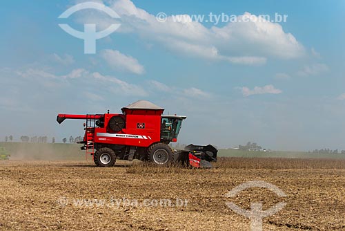  Subject: Mechanized harvesting of soybean at rural zone of the Palotina city / Place: Palotina city - Parana state (PR) - Brazil / Date: 01/2013 