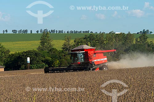  Subject: Mechanized harvesting of soybean at rural zone of the Palotina city / Place: Palotina city - Parana state (PR) - Brazil / Date: 01/2013 